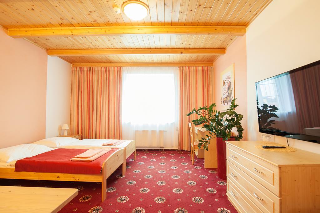 Sport-V-Hotel Hrotovice Rum bild