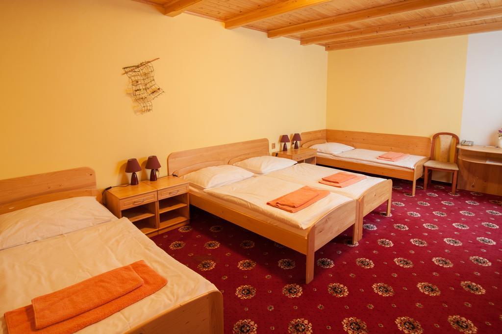 Sport-V-Hotel Hrotovice Rum bild
