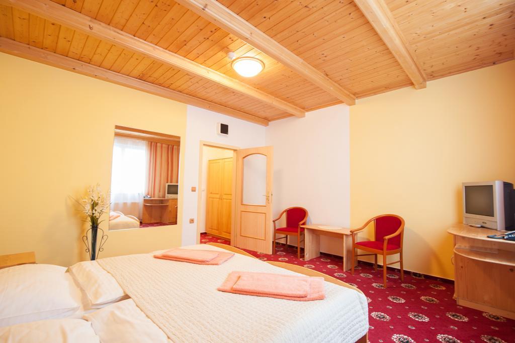 Sport-V-Hotel Hrotovice Rum bild
