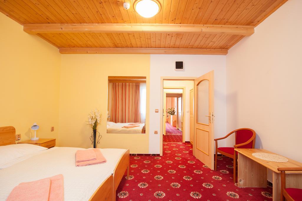 Sport-V-Hotel Hrotovice Rum bild